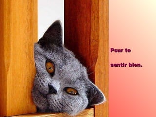 Pour te  sentir bien. 