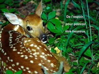 De l’espoir,  pour pouvoir être heureux. 