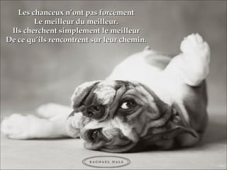 Les chanceux n’ont pas forcément Le meilleur du meilleur. Ils cherchent simplement le meilleur De ce qu’ils rencontrent sur leur chemin. 