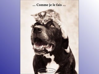 …  Comme je le fais  … 