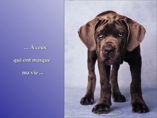 …   À ceux  qui ont marqué  ma vie ... 