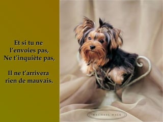 Et si tu ne  l’envoies pas, Ne t’inquiète pas, Il ne t’arrivera  rien de mauvais. 