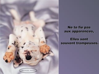 Ne te fie pas  aux apparences,  Elles sont  souvent trompeuses . 