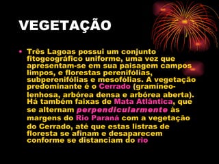 VEGETAÇÃO Três Lagoas possui um conjunto fitogeográfico uniforme, uma vez que apresentam-se em sua paisagem campos limpos, e florestas perenifólias, subperenifólias e mesofólias. A vegetação predominante é o  Cerrado  (gramíneo-lenhosa, arbórea densa e arbórea aberta). Há também faixas de  Mata Atlântica , que se alternam  perpendicularmente  às margens do  Rio Paraná  com a vegetação do Cerrado, até que estas listras de floresta se afinam e desaparecem conforme se distanciam do  rio   