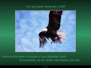 - Eu sei quem deve ser o rei!!!  Voava sobre eles e escutei o que disseram para  a montanha, ao se verem derrotados por ela. 