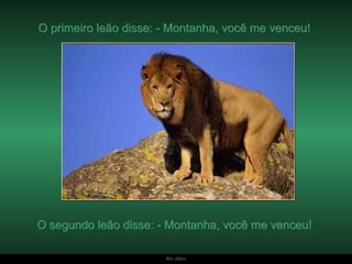 O primeiro leão disse: - Montanha, você me venceu!  O segundo leão disse: - Montanha, você me venceu!  