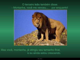 O terceiro leão também disse: Mas você, montanha, já atingiu seu tamanho final,  e eu ainda estou crescendo.  - Montanha, você me venceu...  por enquanto!  