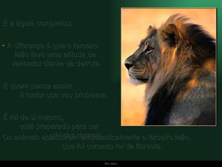E a águia completou:  A diferença é que o terceiro  leão teve uma atitude de  vencedor diante da derrota.  E quem pensa assim  é maior que seu problema.  É rei de si mesmo,  está preparado para ser  rei dos demais. Os animais aplaudiram entusiasticamente o terceiro leão,  que foi coroado rei da floresta. 