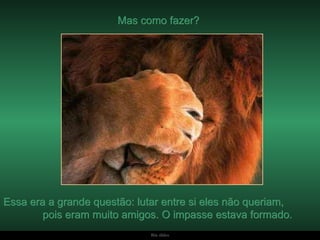 Mas como fazer?  Essa era a grande questão: lutar entre si eles não queriam,  pois eram muito amigos. O impasse estava formado. 