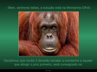 - Bem, senhores leões, a solução está na Montanha Difícil. Decidimos que vocês 3 deverão escalar a montanha e aquele  que atingir o pico primeiro, será consagrado rei. 