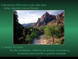 A Montanha Difícil era a mais alta entre  todas naquela imensa floresta.   O desafio foi aceito.  No dia combinado, milhares de animais cercaram a  montanha para assistir a grande escalada. 
