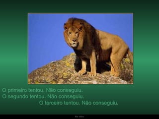 O primeiro tentou. Não conseguiu.  O segundo tentou. Não conseguiu.  O terceiro tentou. Não conseguiu.  