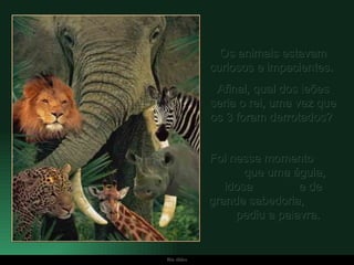 Os animais estavam curiosos e impacientes.  Afinal, qual dos leões seria o rei, uma vez que os 3 foram derrotados?  Foi nesse momento  que uma águia, idosa  e de grande sabedoria,  pediu a palavra.  