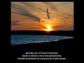  
Querida, por um breve momento,
Assim se atreve o meu leve pensamento,
Voando livremente sai a procura de ti pelo tempo.
 