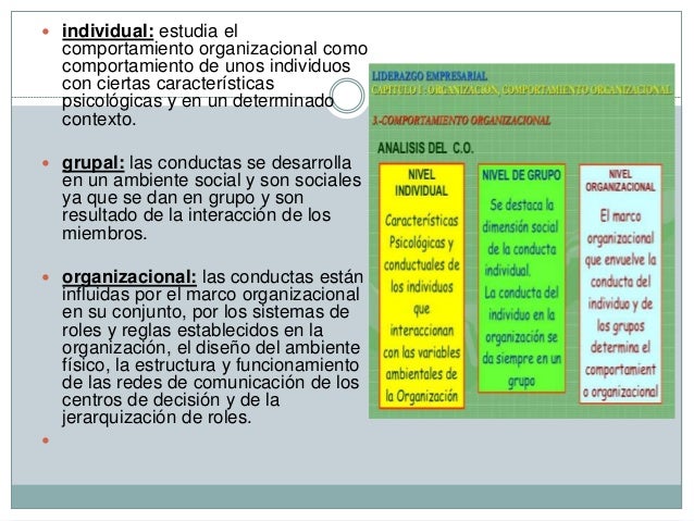 Tres niveles del comportamiento organizacional