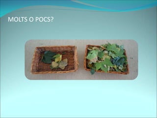 MOLTS O POCS?
 