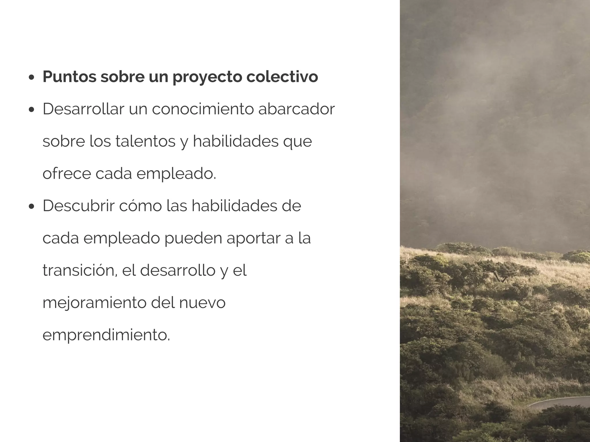 Puntos sobre un proyecto colectivo
Desarrollar un conocimiento abarcador
sobre los talentos y habilidades que
ofrece cada empleado.
Descubrir cómo las habilidades de
cada empleado pueden aportar a la
transición, el desarrollo y el
mejoramiento del nuevo
emprendimiento.
 