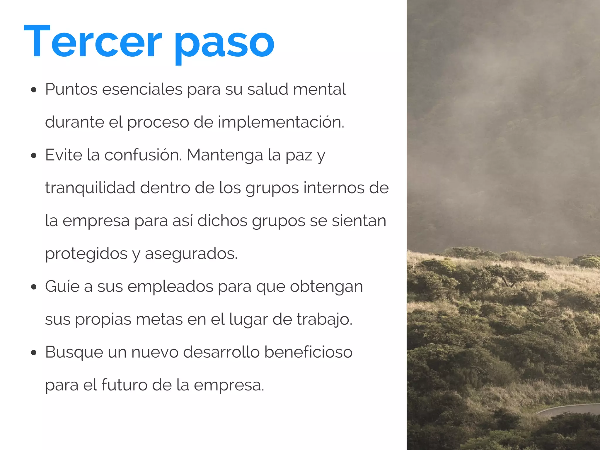 Tercer paso
Puntos esenciales para su salud mental
durante el proceso de implementación.
Evite la confusión. Mantenga la paz y
tranquilidad dentro de los grupos internos de
la empresa para así dichos grupos se sientan
protegidos y asegurados.
Guíe a sus empleados para que obtengan
sus propias metas en el lugar de trabajo.
Busque un nuevo desarrollo beneficioso
para el futuro de la empresa.
 
