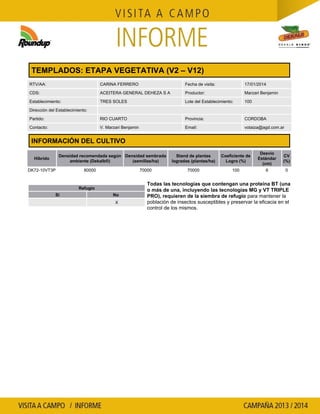 TEMPLADOS: ETAPA VEGETATIVA (V2 – V12)
RTV/AA:

CARINA FERRERO

Fecha de visita:

17/01/2014

CDS:

ACEITERA GENERAL DEHEZA S A

Productor:

Marzari Benjamin

Establecimiento:

TRES SOLES

Lote del Establecimiento:

100

Partido:

RIO CUARTO

Provincia:

CORDOBA

Contacto:

V. Marzari Benjamin

Email:

votaiza@agd.com.ar

Dirección del Establecimiento:

INFORMACIÓN DEL CULTIVO
Densidad recomendada según Densidad sembrada
ambiente (Dekalb®)
(semillas/ha)

Híbrido
DK72-10VT3P

80000

70000

Refugio
Si

No
X

Stand de plantas
logradas (plantas/ha)

Coeficiente de
Logro (%)

Desvío
Estándar
(cm)

CV
(%)

70000

100

6

24

Todas las tecnologías que contengan una proteína BT (una
o más de una, incluyendo las tecnologías MG y VT TRIPLE
PRO), requieren de la siembra de refugio para mantener la
población de insectos susceptibles y preservar la eficacia en el
control de los mismos.

 