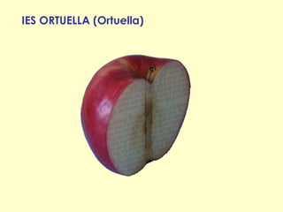 IES ORTUELLA (Ortuella)