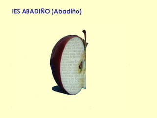 IES ABADIÑO (Abadiño)