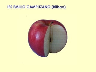 IES EMILIO CAMPUZANO (Bilbao)