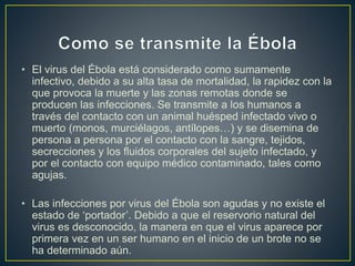 • El virus del Ébola está considerado como sumamente 
infectivo, debido a su alta tasa de mortalidad, la rapidez con la 
que provoca la muerte y las zonas remotas donde se 
producen las infecciones. Se transmite a los humanos a 
través del contacto con un animal huésped infectado vivo o 
muerto (monos, murciélagos, antílopes…) y se disemina de 
persona a persona por el contacto con la sangre, tejidos, 
secrecciones y los fluidos corporales del sujeto infectado, y 
por el contacto con equipo médico contaminado, tales como 
agujas. 
• Las infecciones por virus del Ébola son agudas y no existe el 
estado de ‘portador’. Debido a que el reservorio natural del 
virus es desconocido, la manera en que el virus aparece por 
primera vez en un ser humano en el inicio de un brote no se 
ha determinado aún. 
 
