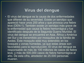 • El virus del dengue es la causa de dos enfermedades 
que difieren de su severidad. Existe un serotipo que 
apareció hace unos 200 años y que provoca una fiebre 
leve (DEN-1). También existe un serotipo más grave de 
la enfermedad que causa la fiebre hemorrágica y fue 
identificado después de la Segunda Guerra Mundial. El 
virus del dengue se encuentra en Asia, África y América 
del Sur y es transmitido por mosquitos de la familia de 
Aedes. Este mosquito está muy extendido en los 
bosques y zonas húmedas, ya que estas áreas son 
favorables para la reproducción. El virus del dengue es 
responsable de más de 100 millones de casos de fiebre 
leve, y más de 500,000 casos de fiebre hemorrágica al 
año. De esta cifra, alrededor de 25.000 personas 
mueren. 
 