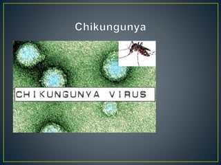 algunos de los virus del mundo