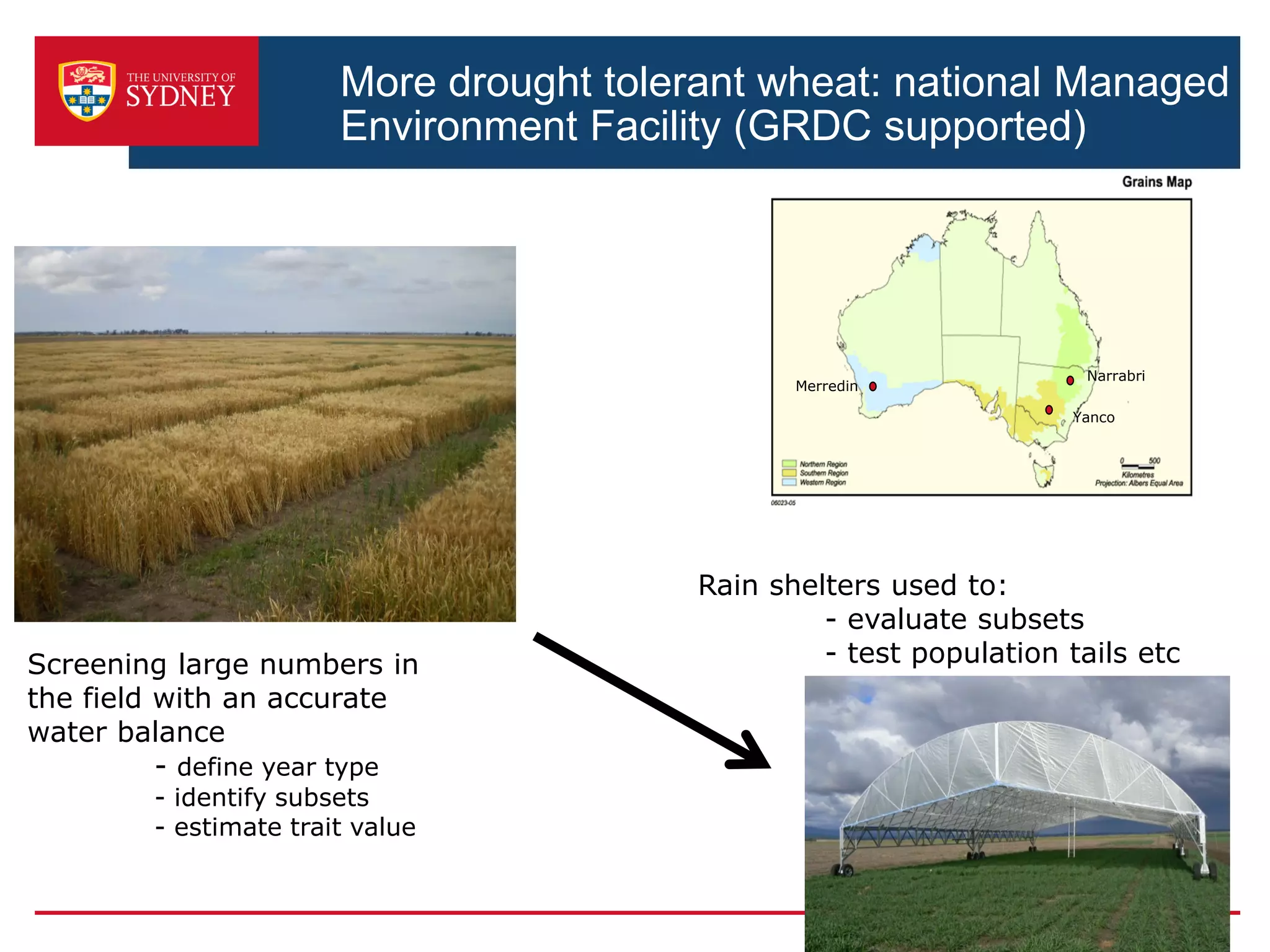 More drought tolerant wheat: national Managed
Environment Facility (GRDC supported)
Screening large numbers in
the field with an accurate
water balance
- define year type
- identify subsets
- estimate trait value
Rain shelters used to:
- evaluate subsets
- test population tails etc
Narrabri
Yanco
Merredin
 