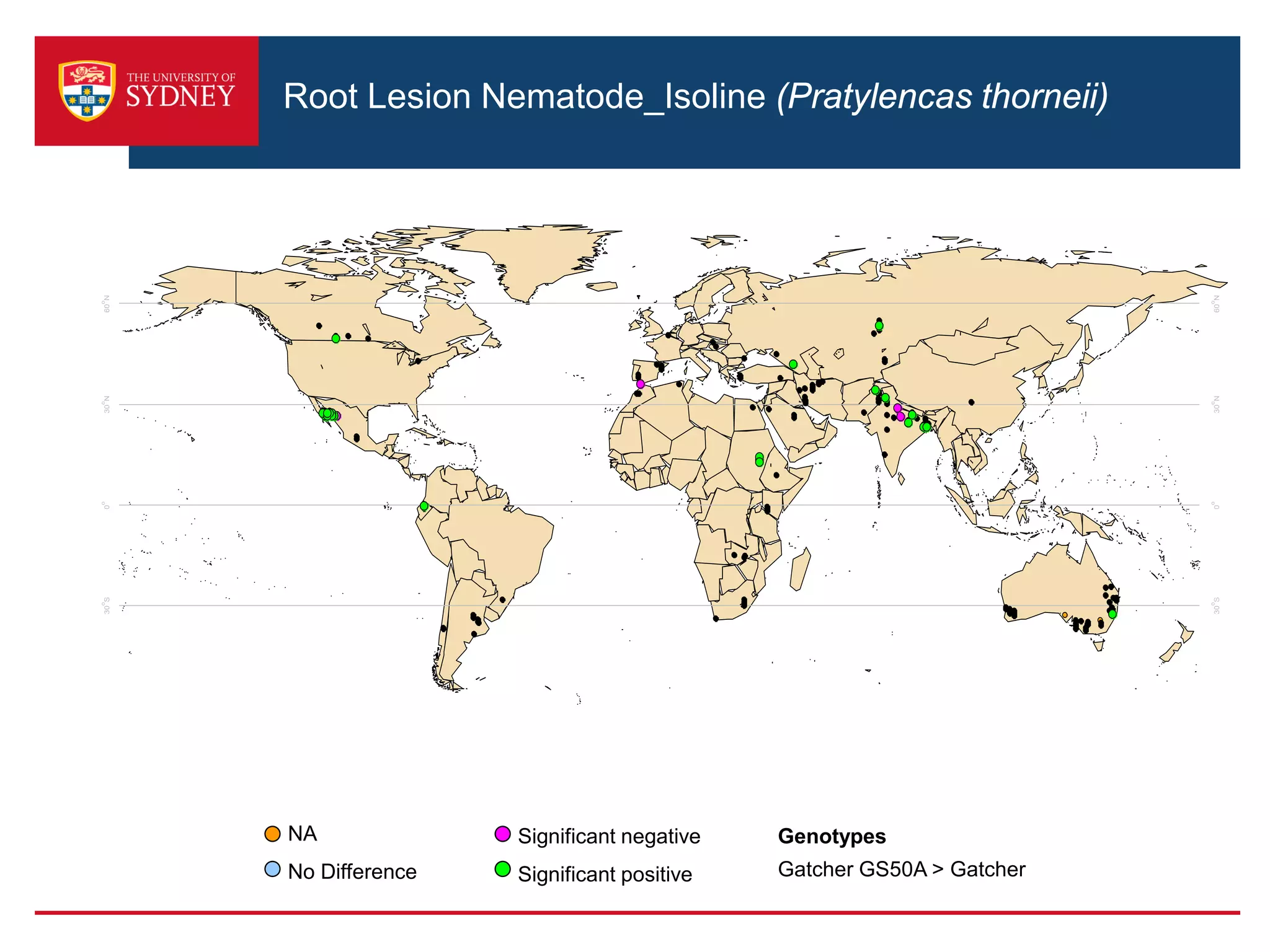 Root Lesion Nematode_Isoline (Pratylencas thorneii)
NA
No Difference
Significant negative
Significant positive
Genotypes
Gatcher GS50A > Gatcher
30
o
S
30
o
S
0
o
0
o
30
o
N
30
o
N
60
o
N
60
o
N
 