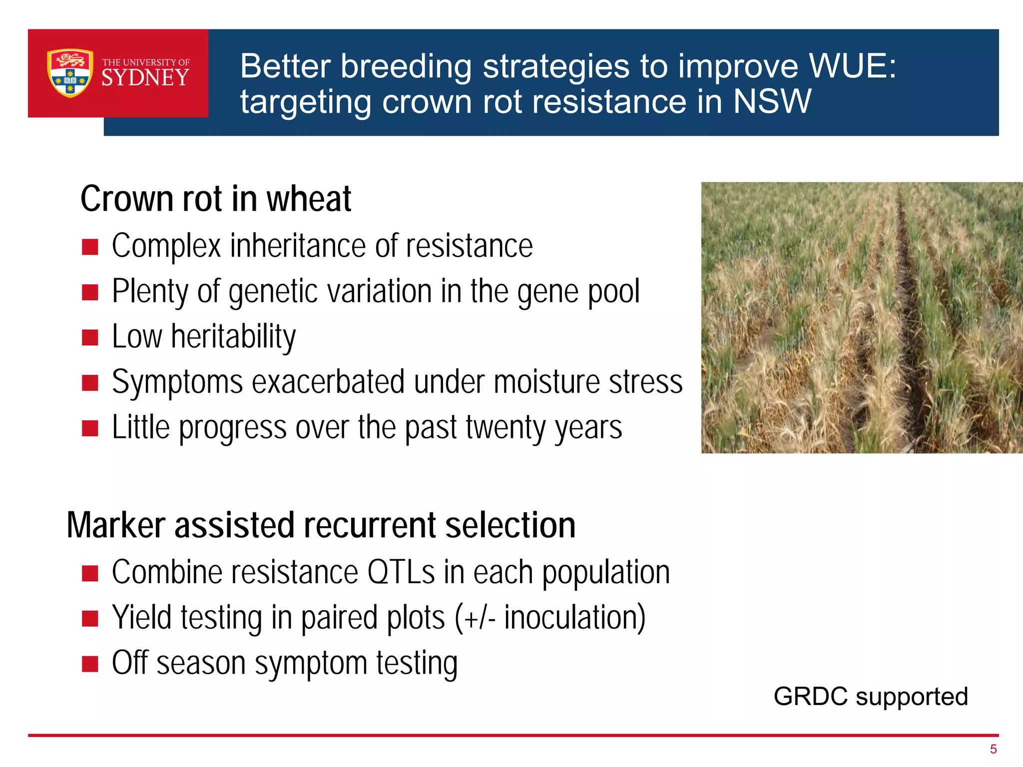 Better breeding strategies to improve WUE:
targeting crown rot resistance in NSW
Crown rot in wheat
 Complex inheritance of resistance
 Plenty of genetic variation in the gene pool
 Low heritability
 Symptoms exacerbated under moisture stress
 Little progress over the past twenty years
Marker assisted recurrent selection
 Combine resistance QTLs in each population
 Yield testing in paired plots (+/- inoculation)
 Off season symptom testing
5
GRDC supported
 