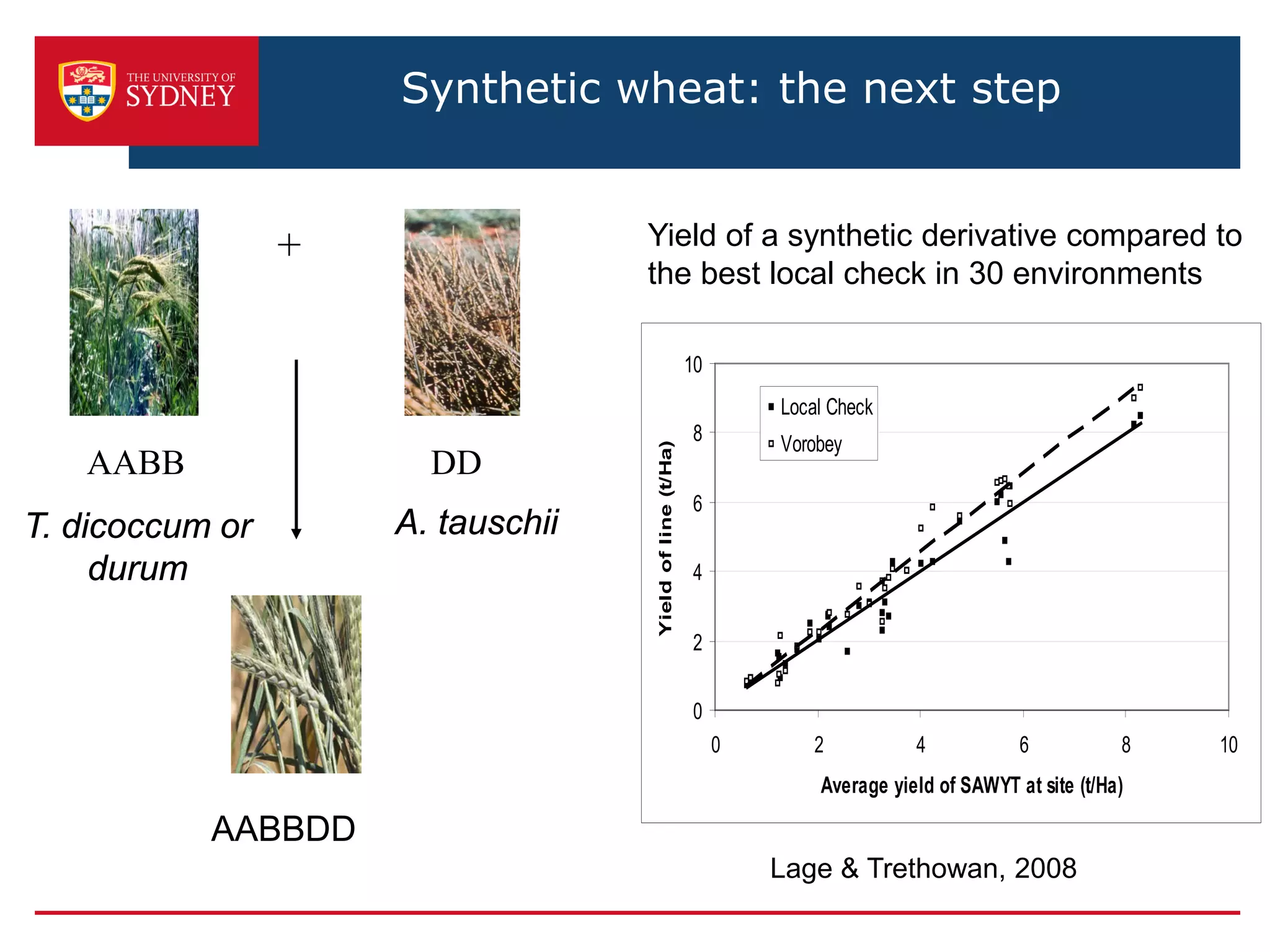 T. dicoccum or
durum
A. tauschii
AABBDD
DD
+
AABB
Synthetic wheat: the next step
Yield of a synthetic derivative compared to
the best local check in 30 environments
0
2
4
6
8
10
0 2 4 6 8 10
Average yield of SAWYT at site (t/Ha)
Yieldofline(t/Ha)
Local Check
Vorobey
Lage & Trethowan, 2008
 