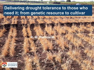 1
Delivering drought tolerance to those who
need it; from genetic resource to cultivar
R. M. Trethowan
 