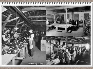 Helsingborg bilder gamla  Tretorn 