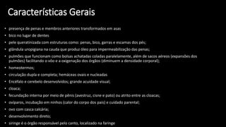 Características Gerais
• presença de penas e membros anteriores transformados em asas
• bico no lugar de dentes
• pele queratinizada com estruturas como: penas, bico, garras e escamas dos pés;
• glândula uropigiana na cauda que produz óleo para impermeabilização das penas;
• pulmões que funcionam como bolsas achatadas coladas paralelamente, além de sacos aéreos (expansões dos
pulmões) facilitando o vôo e a oxigenação dos órgãos (diminuem a densidade corporal);
• homeotermos;
• circulação dupla e completa; hemáceas ovais e nucleadas
• Encéfalo e cerebelo desenvolvidos; grande acuidade visual;
• cloaca;
• fecundação interna por meio de pênis (avestruz, cisne e pato) ou atrito entre as cloacas;
• ovíparos, incubação em ninhos (calor do corpo dos pais) e cuidado parental;
• ovo com casca calcária;
• desenvolvimento direto;
• siringe é o órgão responsável pelo canto, localizado na faringe
 
