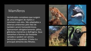 Mamíferos
Vertebrados complexos que surgem
de uma linhagem de répteis e
convivem com eles. São adaptados a
diversos ambientes pelo fato de
também serem homeotérmicos.
Apresentam obrigatoriamente: pêlos,
glândulas mamárias e diafragma. Seus
tamanhos e formas são bastante
variados e podem ser aéreos,
terrestres e aquáticos. O leite é o
principal alimento dos filhotes.
 