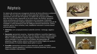 Répteis
Os répteis são animais que conseguiram dominar de forma eficiente o ambiente
terrestre. Tem seu ápice no período Jurássico (grandes répteis) e hoje
apresentam cerca de sete mil espécies. Os répteis são um grupo parafilético,
pois não inclui as aves, separando-se há certo tempo. No entanto, apresenta
várias semelhanças estruturais e moleculares com esse grupo. Os grandes
répteis tiveram grande irradiação adaptativa e o Brontosaurus pesava mais de 30
toneladas e comia (herbívoro) mais de 230Kg de alimento diariamente. Chifres,
espinhos, garras, bicos cortantes, asas, nadadeiras marcaram o sucesso desses
animais já extintos.
 Chelonios: com carapaça(convexa) e plastrão (ventre) - tartaruga, cágado e
jaboti
 Squamata: apresentam escamas - Serpentes (ofídios) e Lacertílios (lagartos e
lagartixas)Lagartos como cobra-de-vidro são ápodos; quando atacados podem
liberar a cauda (equilíbrio) e depois regenera; dentes na boca e língua pode
sofrer protração e sua ponta tem muco;Ofídeos são desprovidos de
pálpebras, bexiga urinária, esterno e abertura da orelha; Órgãos de Jacobson
desenvolvidos; os maiores répteis atuais (píton e sucuri)
 Crocodila: apresentam escamas e placas dérmicas- jacarés, crocodilos,
aligatores e gavial; pálpebras e membrana nictitante presentes; torce a presa;
língua achatada e não protrátil;
 