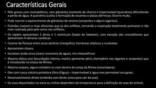 Características Gerais
• Pele grossa com cromatóforos, sem glândulas (somente de cheiro) e impermeável (queratina) dificultando
a perda de água. A queratina auxilia a formação de escamas e placas dérmicas; Ocorre muda;
• Pode ocorrer o aparecimento de glândulas de veneno (serpentes e alguns lagartos);
• Pulmões maiores e mais eficientes que os dos anfíbios, tornando a respiração totalmente pulmonar e não
mais realizada pela pele como nos anfíbios;
• Os répteis apresentam 2 átrios e 1 ventrículo (Septo de Sabatier), com exceção dos crocodilianos que
apresentam 4 câmaras cardíacas.
• Forame de Panizza entre arcos aórticos (mergulho); hemáceas elípticas e nucleadas
• Apresentam cloaca;
• Excretam ácido úrico (maior economia de água); rins metanéfricos
• Maioria dióica com fecundação interna, macho apresenta pênis (hemipênis nos lagartos e serpentes) que
é introduzido na cloaca da fêmea;
• Maioria ovípara, alguns eclodem os ovos dentro do corpo da fêmea (ovovivípara);
• Ovo com casca calcária protetora (fora d’água) – impermeável à água mas permeável aos gases;
• Desenvolvimento direto (embrião com dente único para sair do ovo);
• Os ovos depositados na areia ou ninhos dependem da temperatura para a definição do sexo do animal;
 
