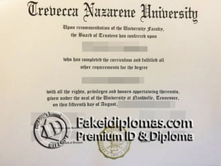 Trevecca Nazarene University degree