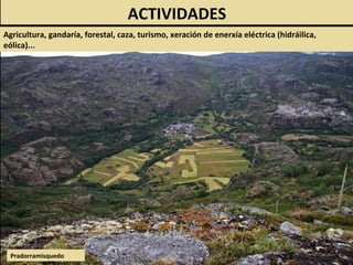Pradorramisquedo
ACTIVIDADES
Agricultura, gandaría, forestal, caza, turismo, xeración de enerxía eléctrica (hidráilica,
eólica)...
 