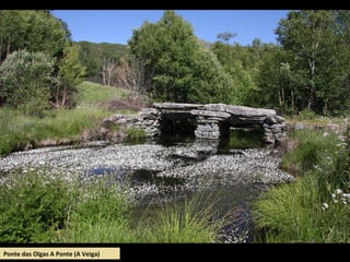 Ponte das Olgas A Ponte (A Veiga)
 