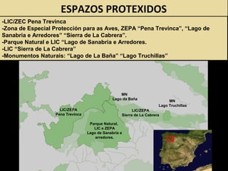 -LIC/ZEC Pena Trevinca
-Zona de Especial Protección para as Aves, ZEPA “Pena Trevinca”, “Lago de
Sanabria e Arredores” “Sierra de La Cabrera”.
-Parque Natural e LIC “Lago de Sanabria e Arredores.
-LIC “Sierra de La Cabrera”
-Monumentos Naturais: “Lago de La Baña” “Lago Truchillas”
MN
Lago da Baña
Parque Natural,
LIC e ZEPA
Lago de Sanabria e
arredores.
ESPAZOS PROTEXIDOS
MN
Lago Truchillas
LIC/ZEPA
Sierra de La Cabrera
LIC/ZEPA
Pena Trevinca
 