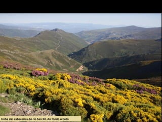 Unha das cabeceiras do río San Xil. Ao fondo o Coto
 
