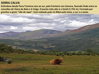 SERRA CALVA
Esténdese desde Pena Trevinca cara ao sur, pola fronteira con Zamora, facendo linde entre os
concellos de Viana do Bolo e A Veiga. O punto máis alto é o Sestil (1.755 m). Formada por
granitos e gneis “ollo de sapo”. Está rodeada polo río Bibei polo leste, o sur e o oeste.
 