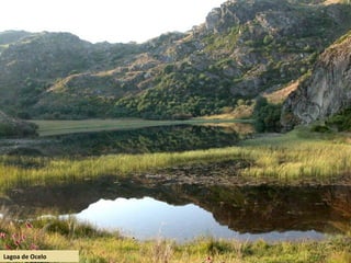 Lagoa de Ocelo
 