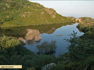 Lagoa da Laceira
 