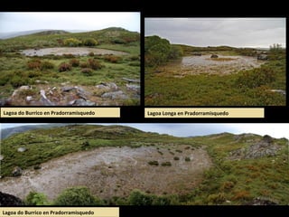 Lagoa do Burrico en Pradorramisquedo
Lagoa do Burrico en Pradorramisquedo
Lagoa Longa en Pradorramisquedo
 