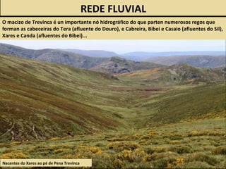 Nacentes do Xares ao pé de Pena Trevinca
REDE FLUVIAL
O macizo de Trevinca é un importante nó hidrográfico do que parten numerosos regos que
forman as cabeceiras do Tera (afluente do Douro), e Cabreira, Bibei e Casaio (afluentes do Sil),
Xares e Canda (afluentes do Bibei)...
 