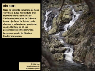 RÍO BIBEI
Nace na vertente zamorana de Pena
Trevinca a 1.900 m de altura e fai
fronteira entre a comarca de
Valdeorras (concellos de O Bolo e
Larouco) e Terra de Trives, onde
discorre encaixado nun profundo
canón. Xúntase co Sil nas
proximidades de Montefurado.
Fervenzas: canón do Bibei en
Pradorramisquedo
O Bibei nas
proximidades de
Pradoramisquedo
 